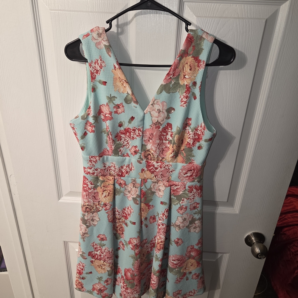 Haute Monde Floral Fit & Flare Dress XL Blue Pink Textured Sleeveless